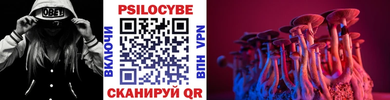 Псилоцибиновые грибы Psilocybine cubensis  Новопавловск 